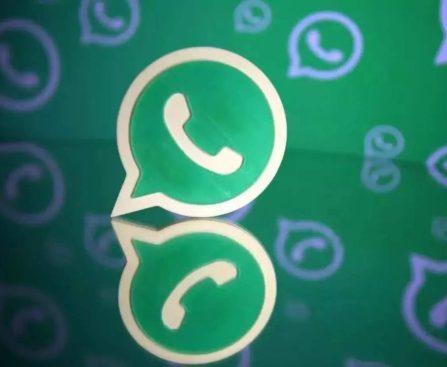 How to Use WhatsApp Number Checker for Better Messaging